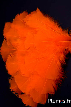 Dinde effilée - 6-8 cm - orange